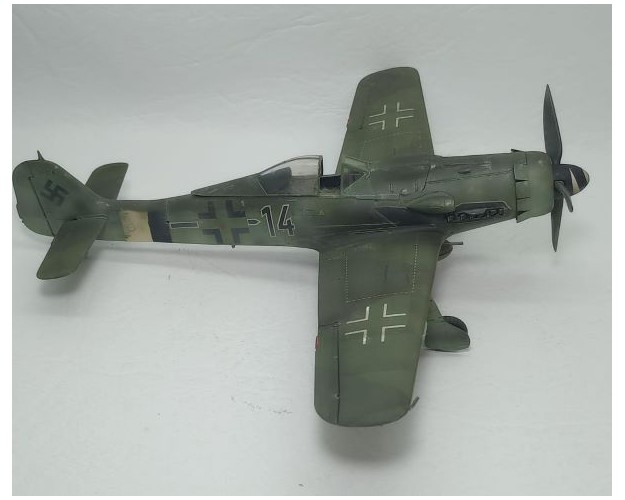 FOCKE-WULF FW-190 D9 - 14 NEGRO - 1/48