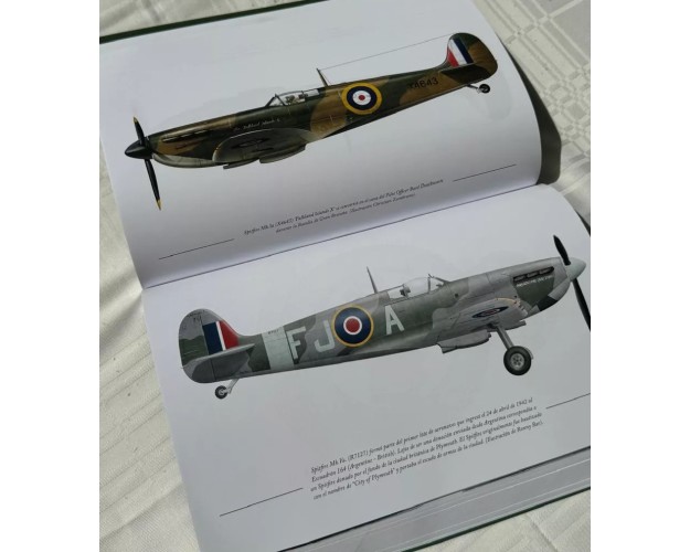 ALAS PARA LA VICTORIA