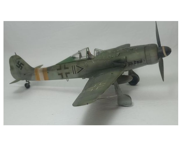 FOCKE-WULF FW-190 D9 - JG2 - 1/48