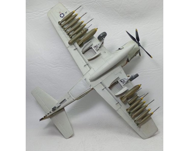 DOUGLAS A-1J SKYRAIDER 1/48