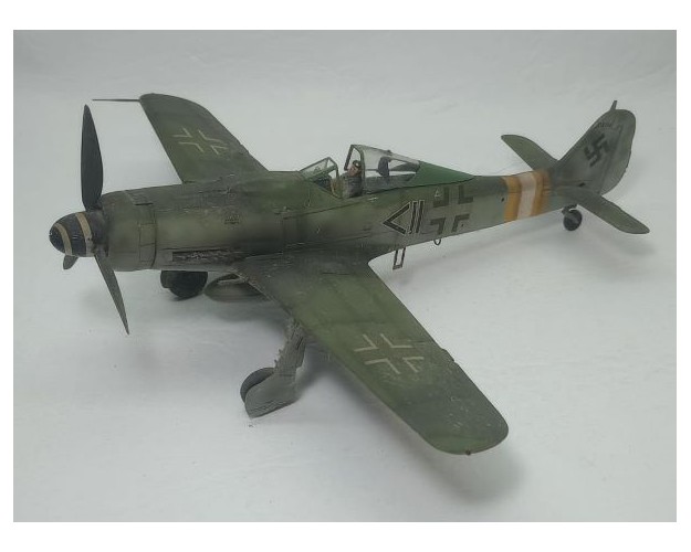 FOCKE-WULF FW-190 D9 - JG2 - 1/48