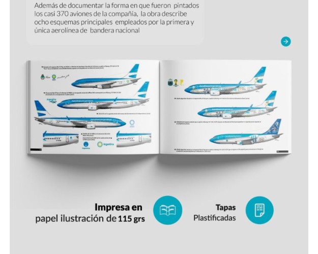 PLUMAJE DE CÓNDOR - Los colores de Aerolíneas Argentinas