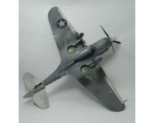 P-40N WARHAWK - 1/48
