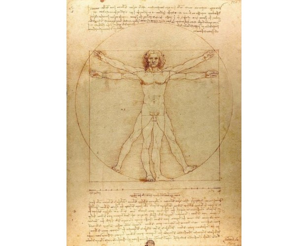 The Vitruvian Man