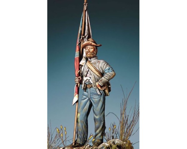 TEXAS STANDARD BEARER 1861-65