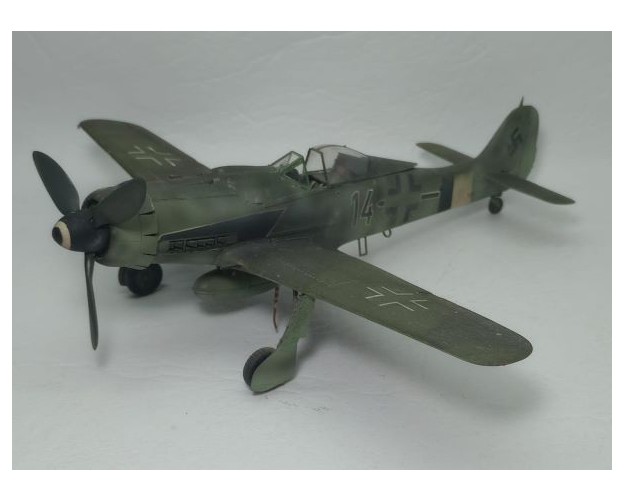 FOCKE-WULF FW-190 D9 - 14 NEGRO - 1/48