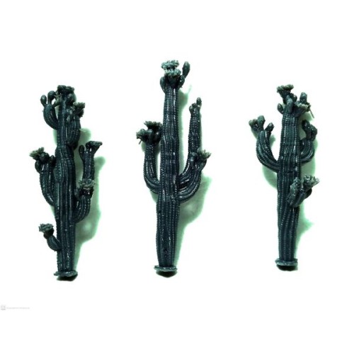 Set de 3 cactus con flor.