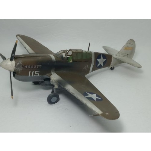 P-40N WARHAWK - 1/48