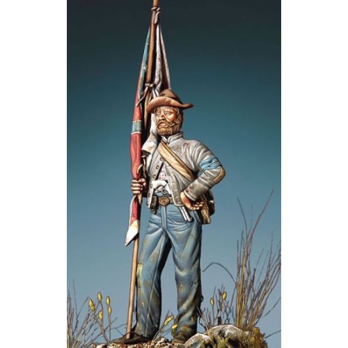 TEXAS STANDARD BEARER 1861-65