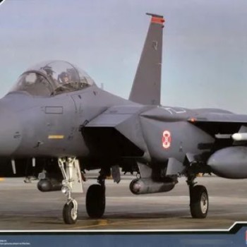 USAF F-15E "SEYMOUR JOHNSON"