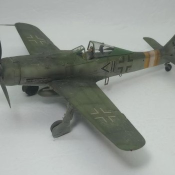 FOCKE-WULF FW-190 D9 - JG2 - 1/48