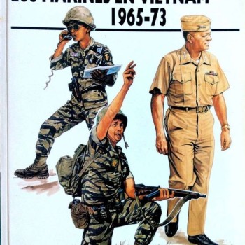 10 Los marines en Vietnam 1965-73