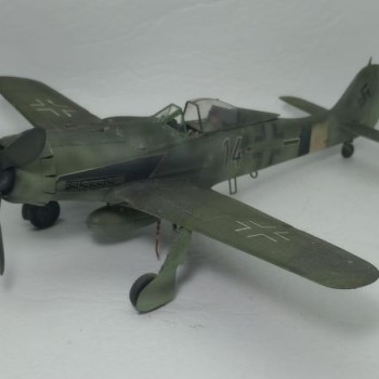 FOCKE-WULF FW-190 D9 - 14 NEGRO - 1/48